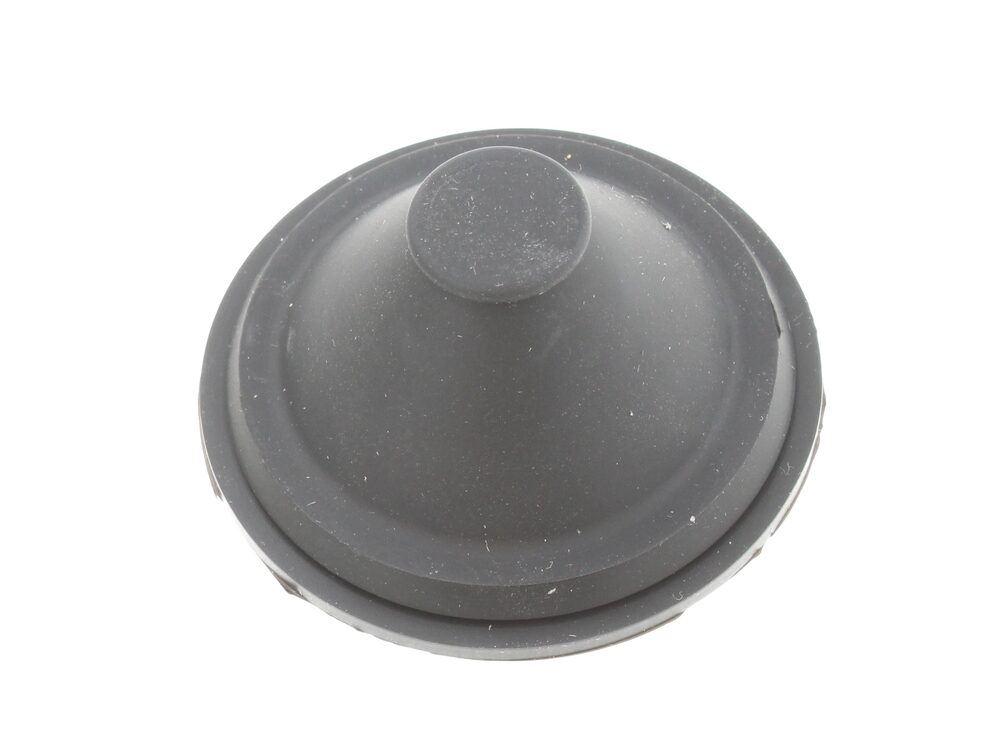 FILLING HOLE CAP