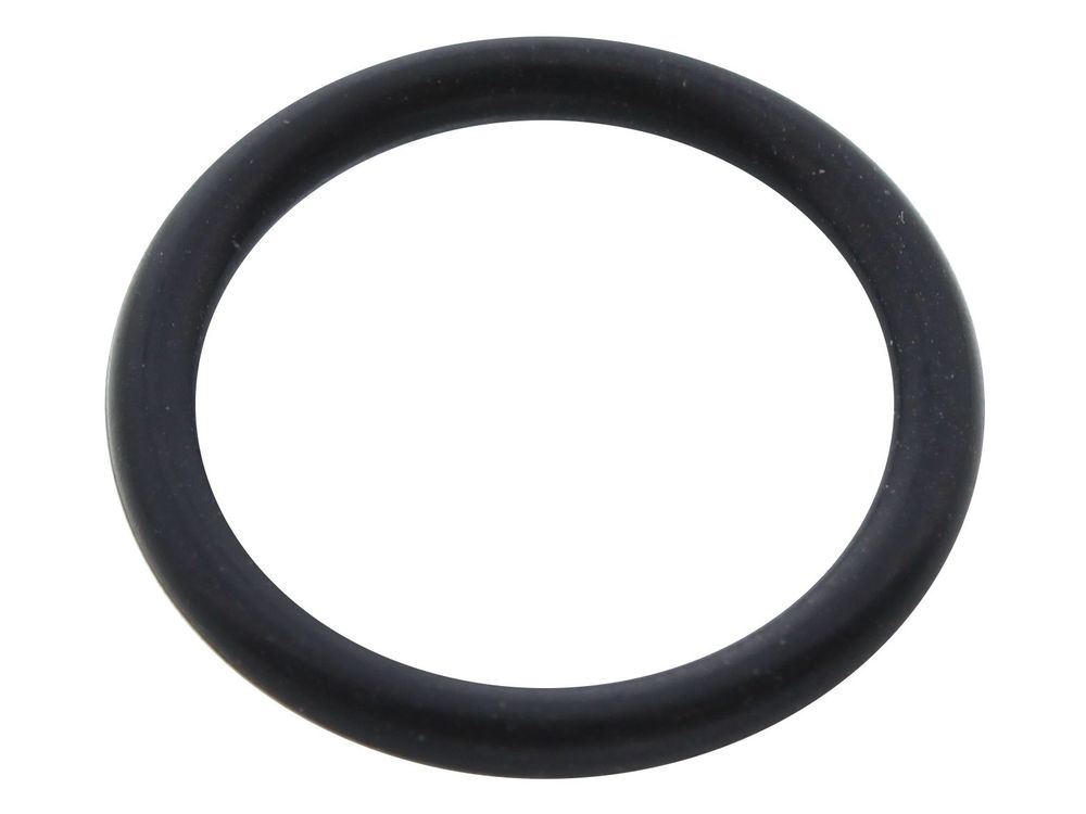 RING GASKET 1.78X12.42 BYPASS - Biasi