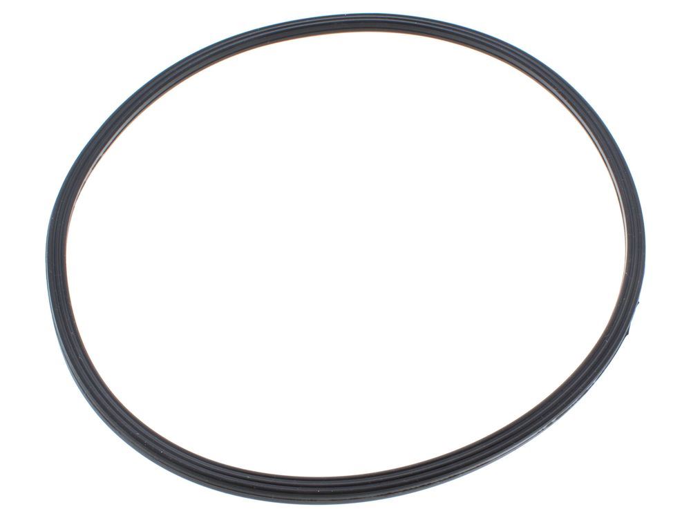 COMBUSTION CHAMBER LIP GASKET - Biasi