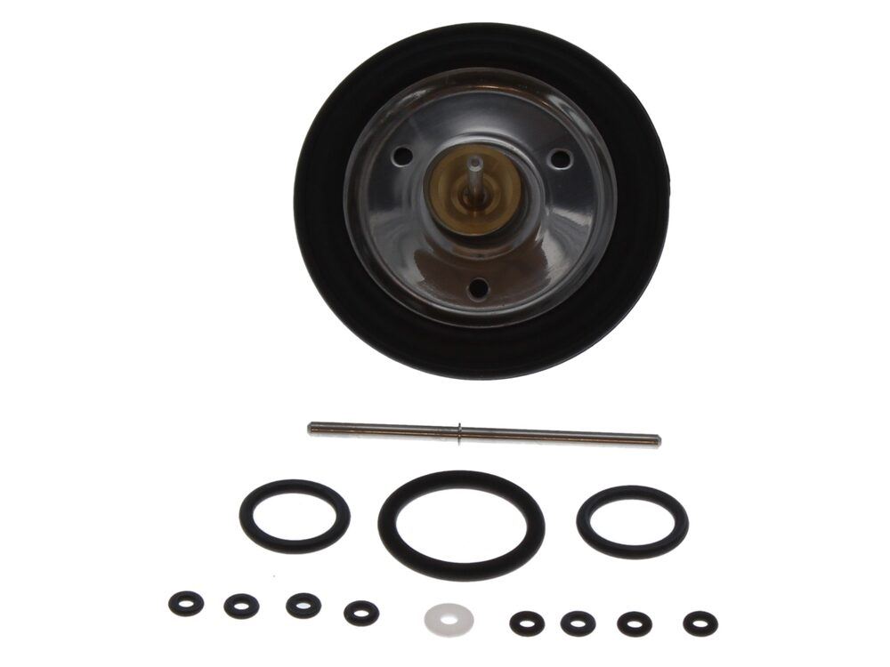 Diaphragm