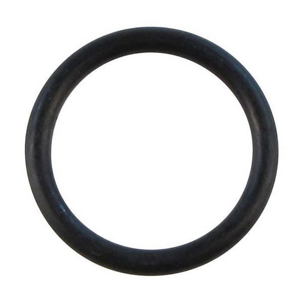 O-ring (PK10)