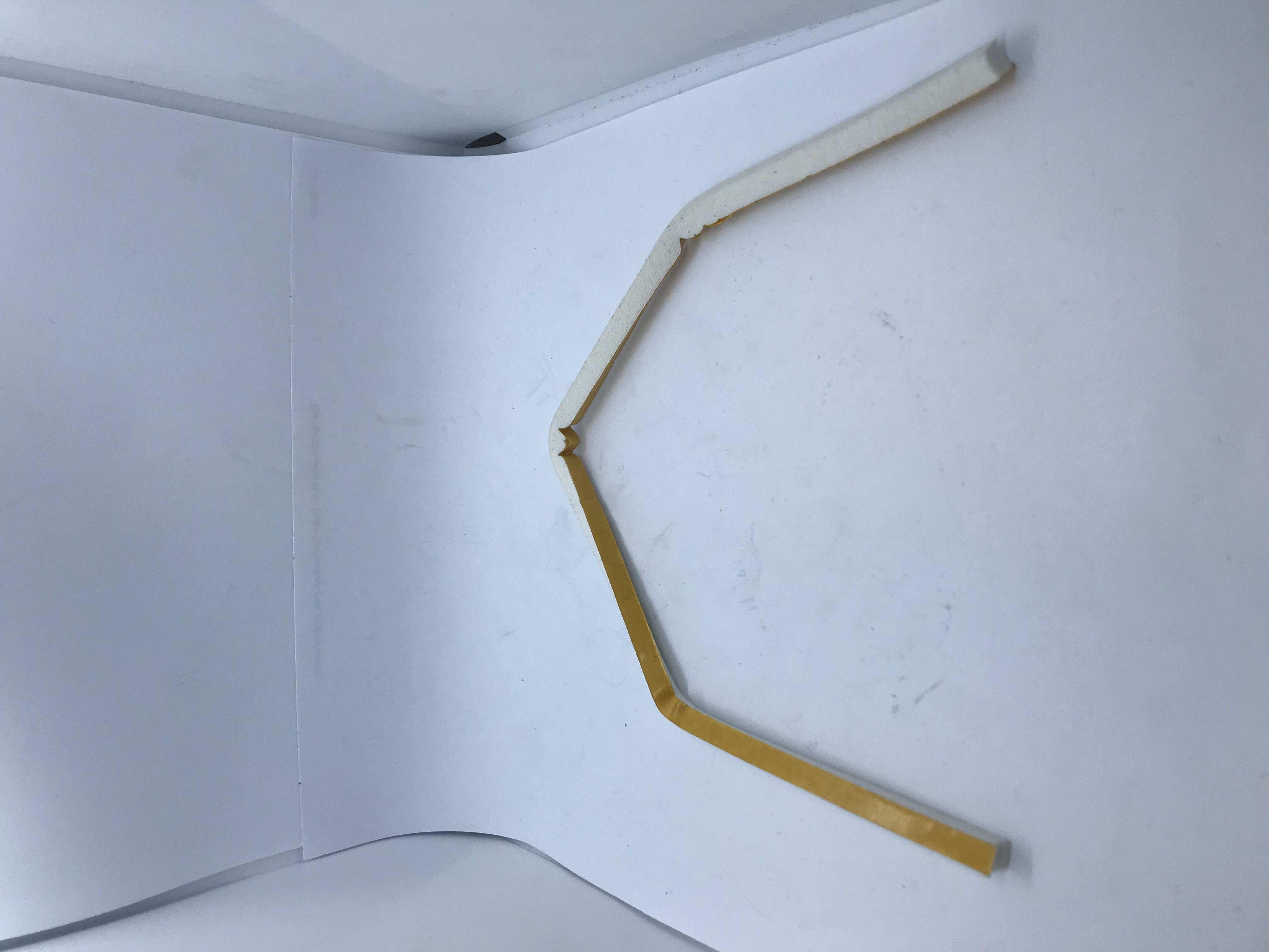 Seal - case bottom