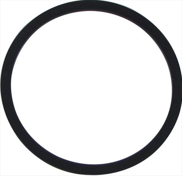 PUMP GASKET(FRONT) (BI1172 113)