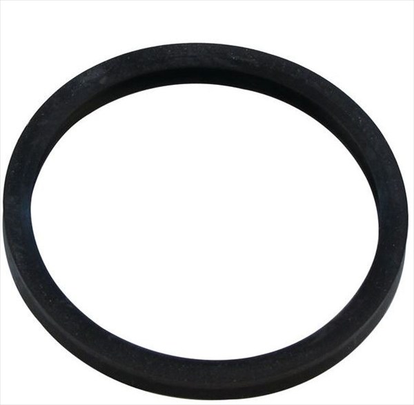 GASKET WITH DOUBLE LIP